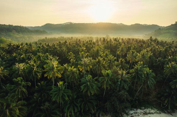 Où peut-on trouver une location de vacances en Islande avec des bains chauds naturels et des randonnées sur les glaciers?